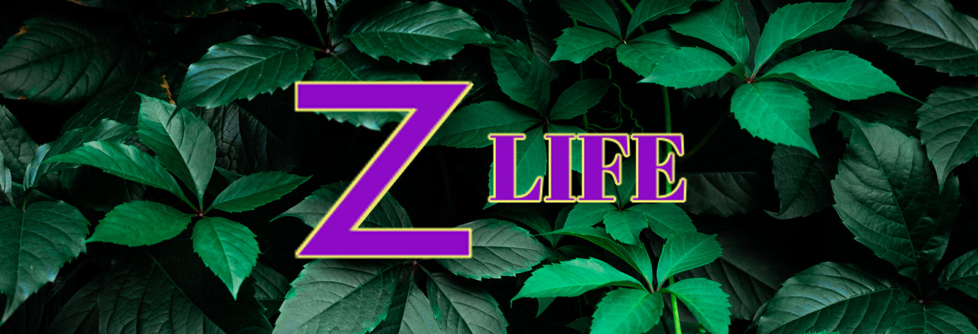 Z Life - Zeolite Detox